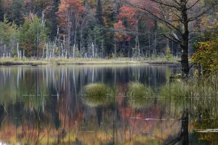 Framed Print : Autumn colors and mist reflecting on Council Lake at sunrise, Hiawatha National Forest, Michigan, USA Framed Print : Autumn colors and mist reflecting on Council Lake at sunrise, Hiawatha National Forest, Michigan, USA