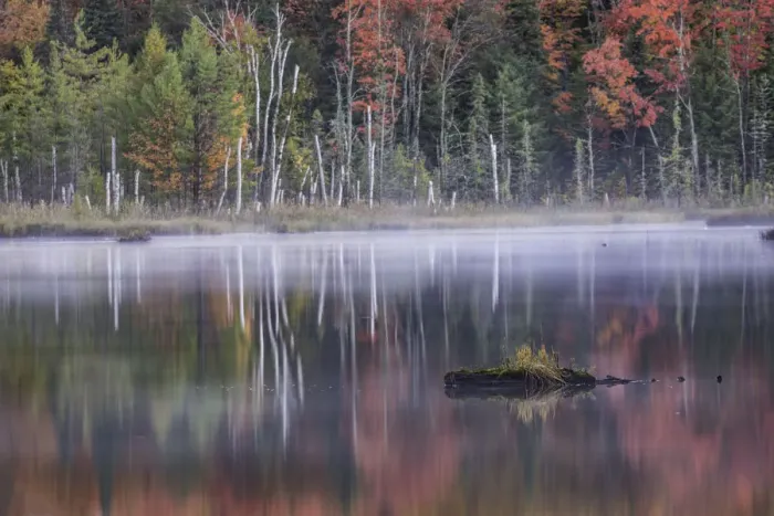 Framed Print : Autumn colors and mist reflecting on Council Lake at sunrise, Hiawatha National Forest, Michigan, USA Framed Print : Autumn colors and mist reflecting on Council Lake at sunrise, Hiawatha National Forest, Michigan, USA