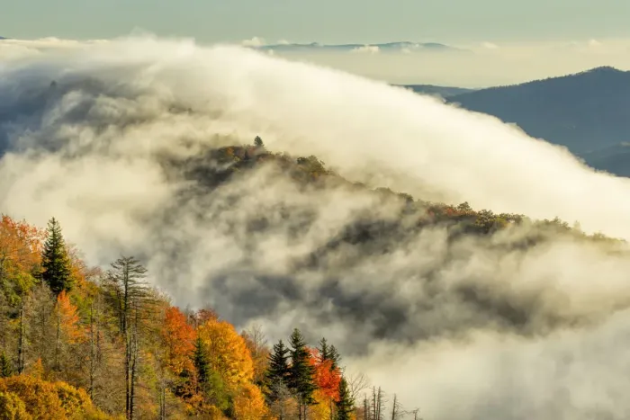 Framed Print : Autumn colors and mist at sunrise, Blue Ridge Mountains from Blue Ridge Parkway, North Carolina, USA Framed Print : Autumn colors and mist at sunrise, Blue Ridge Mountains from Blue Ridge Parkway, North Carolina, USA