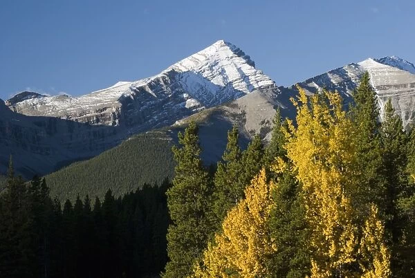 autumn colors in the rocky mountains