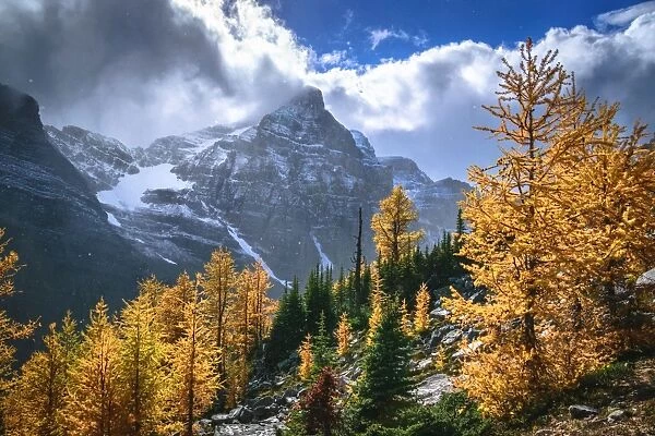 Autumn Colors In Rocky Mountains, Haddo Peak, Banff National Park, Alberta, Canada
