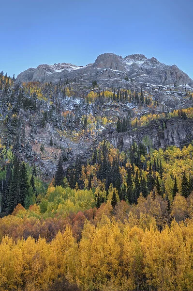 Autumn colors in San Juan Mountains, Colorado, USA