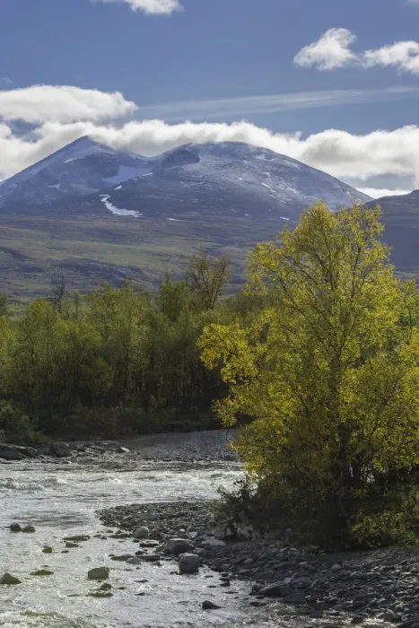 Framed Print : Autumn coloured birch trees on the Abiskojakka river, Abisko National Park, Norrbotten County, Sweden Framed Print : Autumn coloured birch trees on the Abiskojakka river, Abisko National Park, Norrbotten County, Sweden
