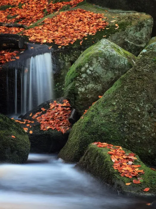 Framed Print : Autumn Fall