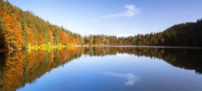 Framed Print : Autumn at Feldsee Lake with reflections near Mt Feldberg, Black Forest, Germany, Europe Framed Print : Autumn at Feldsee Lake with reflections near Mt Feldberg, Black Forest, Germany, Europe