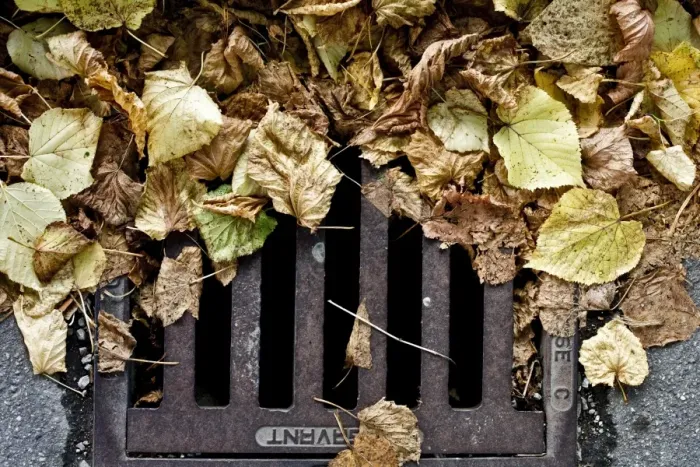 Framed Print : Autumn foliage on a gully Framed Print : Autumn foliage on a gully