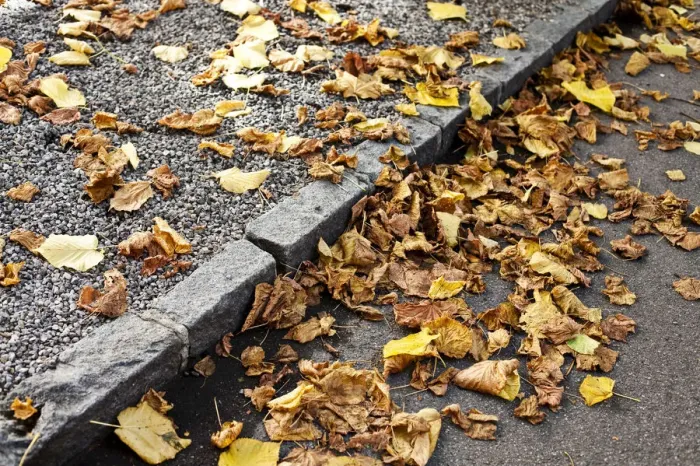 Framed Print : Autumn foliage on a street
