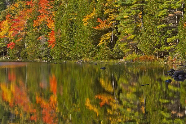 Autumn forest reflecting in Bubble Pond, Acadia National Park, Maine, New England, USA