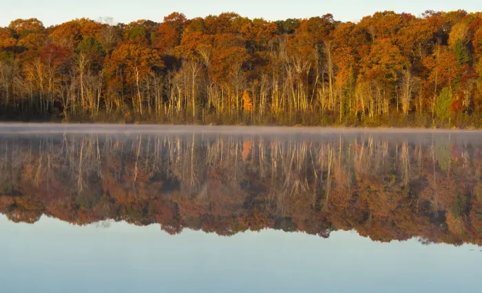 Framed Print : Autumn forest reflecting in Mill Pond Lake, Wisconsin, USA Framed Print : Autumn forest reflecting in Mill Pond Lake, Wisconsin, USA