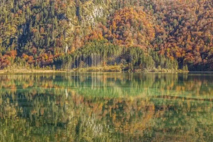 Framed Print : Autumn forest with its reflection in Almsee lake, Gruenau im Almtal, Upper Austria, Austria Framed Print : Autumn forest with its reflection in Almsee lake, Gruenau im Almtal, Upper Austria, Austria