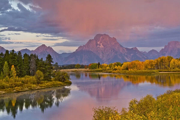 Autumn forests and Mount Moran at sunrise, reflecting in Oxbow Bend of Snake River at Grand Teton National Park, Wyoming, USA