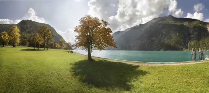 Framed Print : Autumn at Lake Achensee near Achen Church with a maple tree on a green meadow, backlighting, Achensee, Tyrol, Austria, Europe Framed Print : Autumn at Lake Achensee near Achen Church with a maple tree on a green meadow, backlighting, Achensee, Tyrol, Austria, Europe