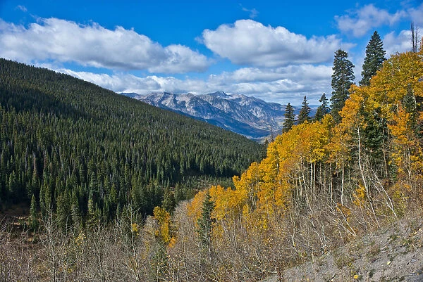 Autumn landscape with aspen forest, Rocky Mountains, Marble, Colorado, USA