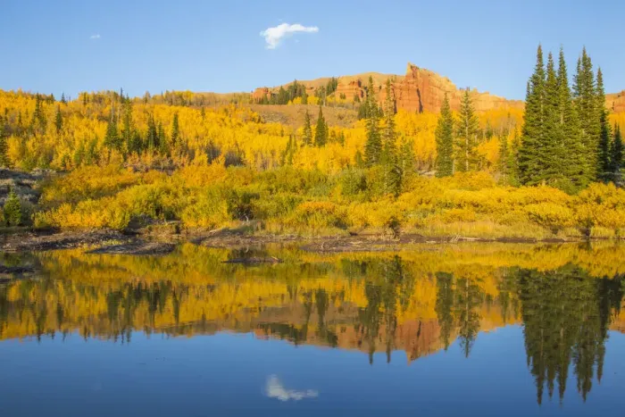 Framed Print : Autumn landscape with aspens and Red Cliffs on sunny day, Wyoming Range, Sublette County, Wyoming, USA Framed Print : Autumn landscape with aspens and Red Cliffs on sunny day, Wyoming Range, Sublette County, Wyoming, USA