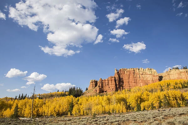 Autumn landscape with aspens and Red Cliffs on sunny day, Wyoming Range, Sublette County, Wyoming, USA