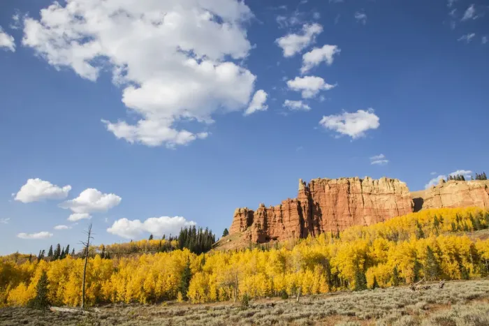 Framed Print : Autumn landscape with aspens and Red Cliffs on sunny day, Wyoming Range, Sublette County, Wyoming, USA Framed Print : Autumn landscape with aspens and Red Cliffs on sunny day, Wyoming Range, Sublette County, Wyoming, USA