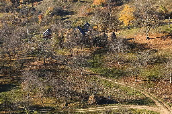 Autumn landscape of farmhouse and haystack, Dobricu Lapusulu, Targu Lapus, Maramures County, Transylvania, Romania