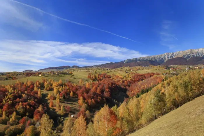 Framed Print : Autumn landscape of hills and mountain range in background, Piatra Craiului National Park, Magura, Carpathian Mountains, Brasov, Brasov County, Transylvania, Romania Framed Print : Autumn landscape of hills and mountain range in background, Piatra Craiului National Park, Magura, Carpathian Mountains, Brasov, Brasov County, Transylvania, Romania