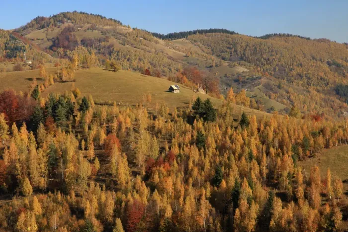 Framed Print : Autumn landscape of hills and mountain range in background, Piatra Craiului National Park, Magura, Carpathian Mountains, Brasov, Brasov County, Transylvania, Romania Framed Print : Autumn landscape of hills and mountain range in background, Piatra Craiului National Park, Magura, Carpathian Mountains, Brasov, Brasov County, Transylvania, Romania