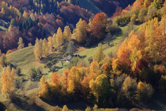 Framed Print : Autumn landscape of hills and trees, Piatra Craiului National Park, Magura, Carpathian Mountains, Brasov, Brasov County, Transylvania, Romania Framed Print : Autumn landscape of hills and trees, Piatra Craiului National Park, Magura, Carpathian Mountains, Brasov, Brasov County, Transylvania, Romania