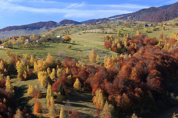 Autumn landscape of little village and mountain range in background, Piatra Craiului National Park, Magura, Carpathian Mountains, Brasov, Brasov County, Transylvania, Romania