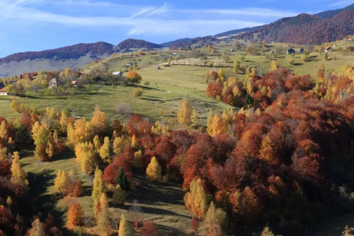 Framed Print : Autumn landscape of little village and mountain range in background, Piatra Craiului National Park, Magura, Carpathian Mountains, Brasov, Brasov County, Transylvania, Romania Framed Print : Autumn landscape of little village and mountain range in background, Piatra Craiului National Park, Magura, Carpathian Mountains, Brasov, Brasov County, Transylvania, Romania