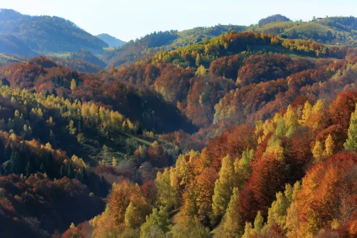 Framed Print : Autumn landscape of mountains and forests, Piatra Craiului National Park, Magura, Carpathian Mountains, Brasov, Brasov County, Transylvania, Romania