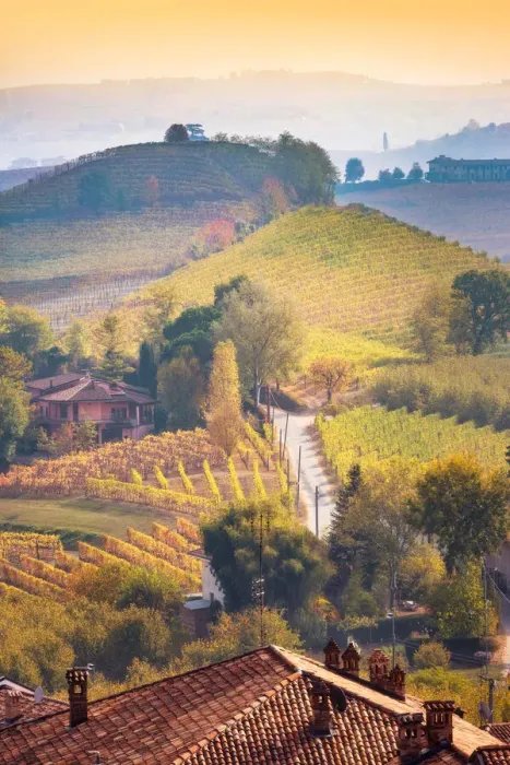 Framed Print : Autumn in Langhe Region, Piedmont, Italy. Vineyards at sunset Framed Print : Autumn in Langhe Region, Piedmont, Italy. Vineyards at sunset