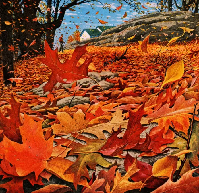 Framed Print : Autumn Leaves Framed Print : Autumn Leaves