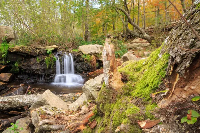 Framed Print : Autumn at Montseny Framed Print : Autumn at Montseny