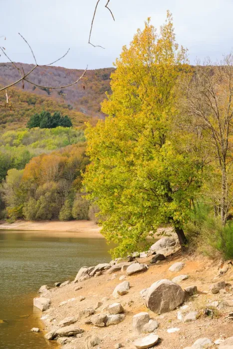 Framed Print : Autumn at Montseny Framed Print : Autumn at Montseny