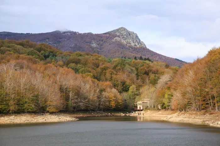Framed Print : Autumn at Montseny Framed Print : Autumn at Montseny