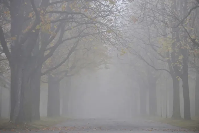 Framed Print : Autumn mood, tree-lined avenue in fog, Stuttgart, Baden-Wuerttemberg, Germany, Europe Framed Print : Autumn mood, tree-lined avenue in fog, Stuttgart, Baden-Wuerttemberg, Germany, Europe