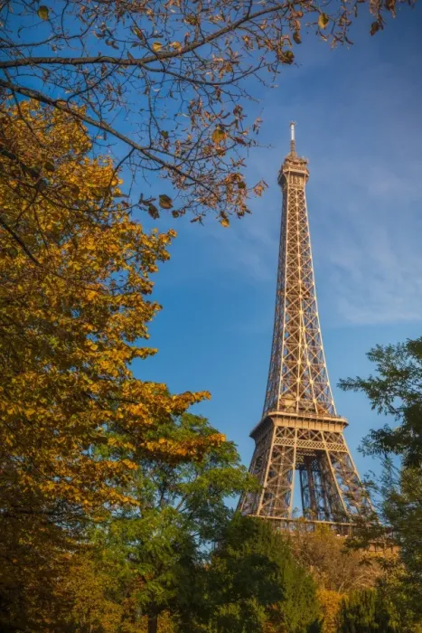 Framed Print : Autumn in Paris Framed Print : Autumn in Paris