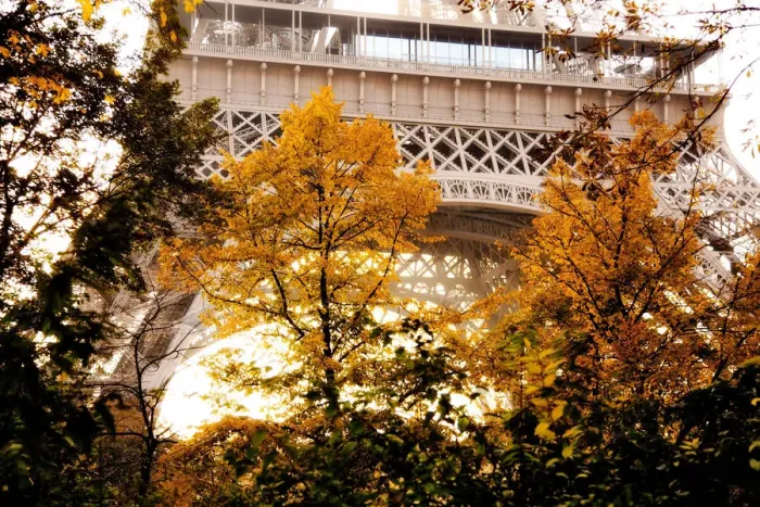 Framed Print : Autumn in Paris Framed Print : Autumn in Paris