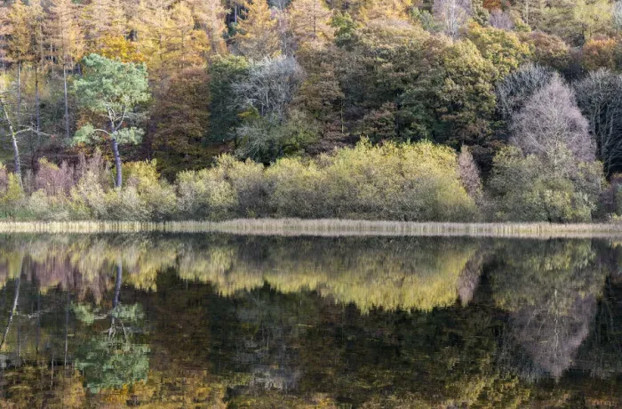 Framed Print : Autumn reflections