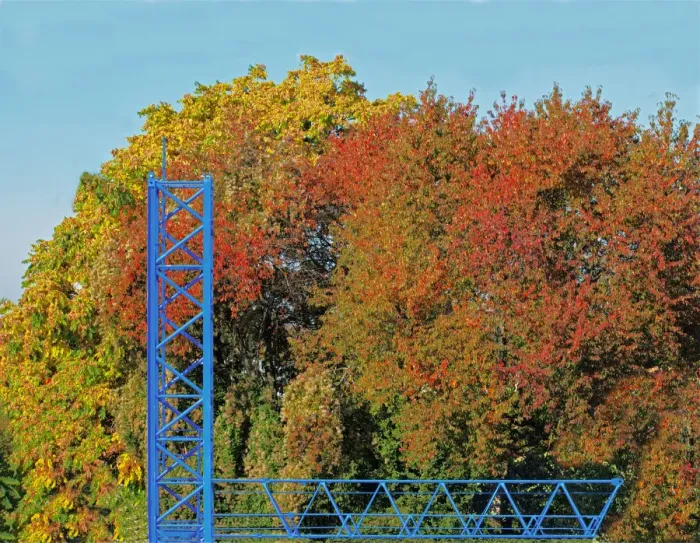 Framed Print : Autumn Scaffolding Framed Print : Autumn Scaffolding