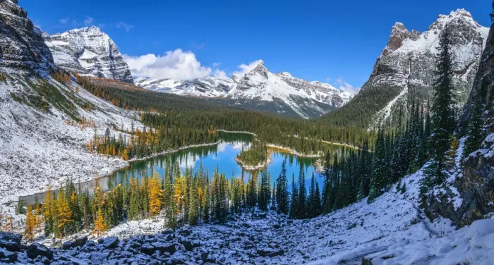 Framed Print : Autumn Scenery In Canadian Rockies, Lake O Hara, Yoho National Park, British Columbia, Canada Framed Print : Autumn Scenery In Canadian Rockies, Lake O Hara, Yoho National Park, British Columbia, Canada