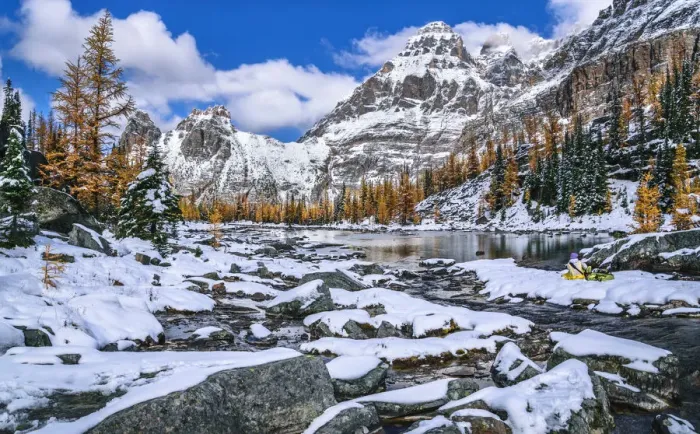 Framed Print : Autumn Scenery In Canadian Rockies, Lake O Hara, Yoho National Park, British Columbia, Canada Framed Print : Autumn Scenery In Canadian Rockies, Lake O Hara, Yoho National Park, British Columbia, Canada