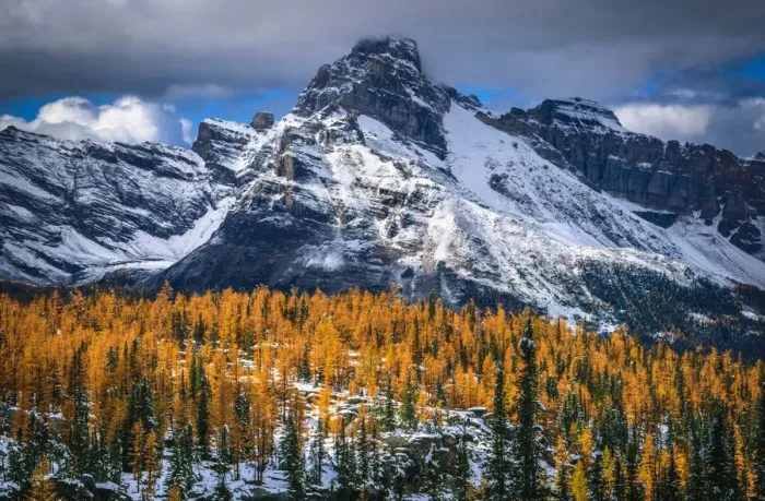 Framed Print : Autumn Scenery In Rocky Mountains, Lake O Hara, Yoho National Park, British Columbia, Canada