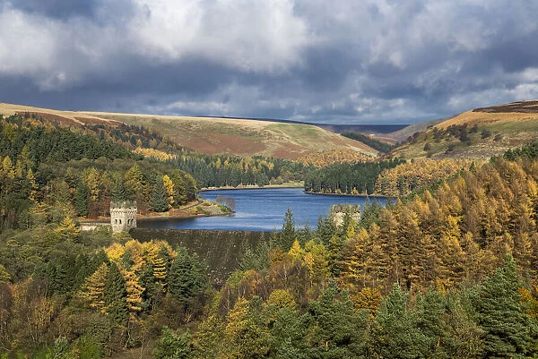 Autumn scenery in the Upper Derwent valley, Derbyshire