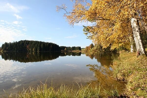 Autumn on Schmuttersee Lake near Lechbruck, Ostallgaeu, Allgaeu, Bavaria, Germany, Europe