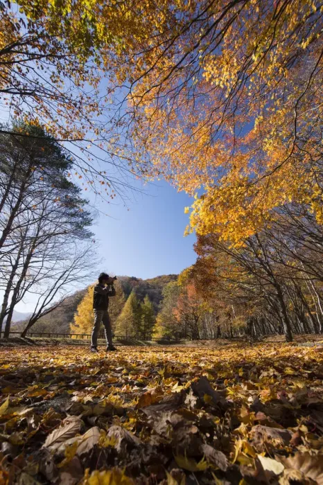 Framed Print : autumn season