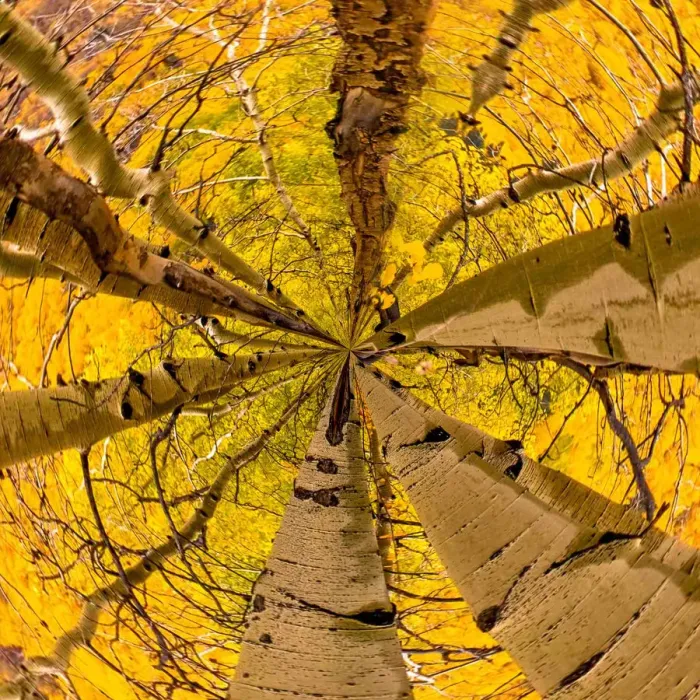 Framed Print : Autumn Tiny Planet Framed Print : Autumn Tiny Planet