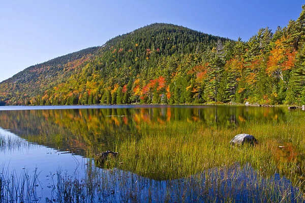 Autumn trees reflecting in Bubble Pond, Acadia National Park, Maine, New England, USA