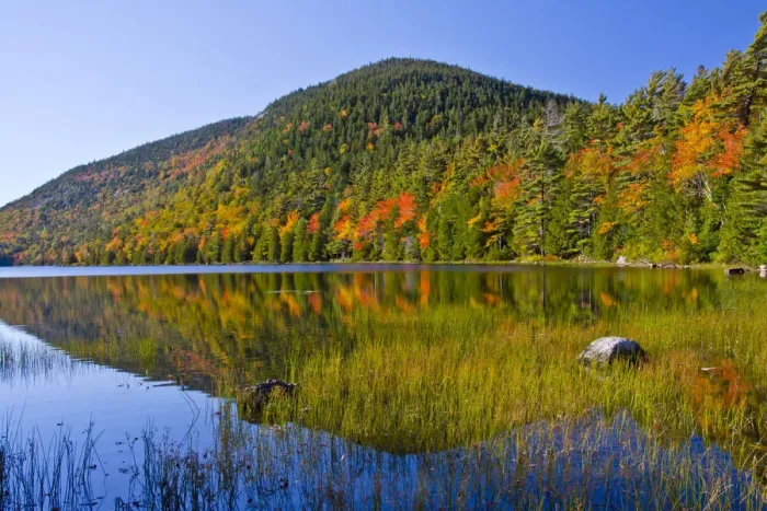 Framed Print : Autumn trees reflecting in Bubble Pond, Acadia National Park, Maine, New England, USA