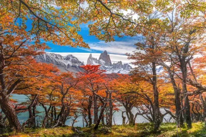 Framed Print : Autumn view at Lake Capri with Mount Fitzroy background Framed Print : Autumn view at Lake Capri with Mount Fitzroy background