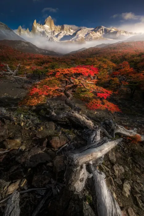 Framed Print : Autumn view of Patagonia with Mount Fitzroy background Framed Print : Autumn view of Patagonia with Mount Fitzroy background