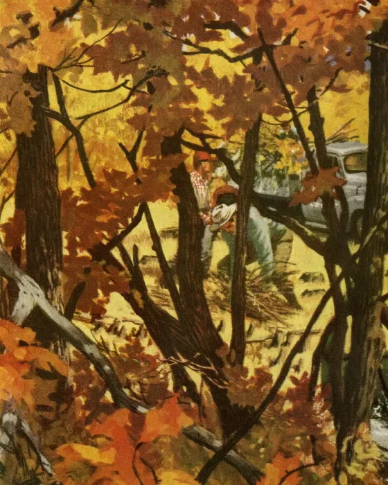Framed Print : Autumn Woods Framed Print : Autumn Woods