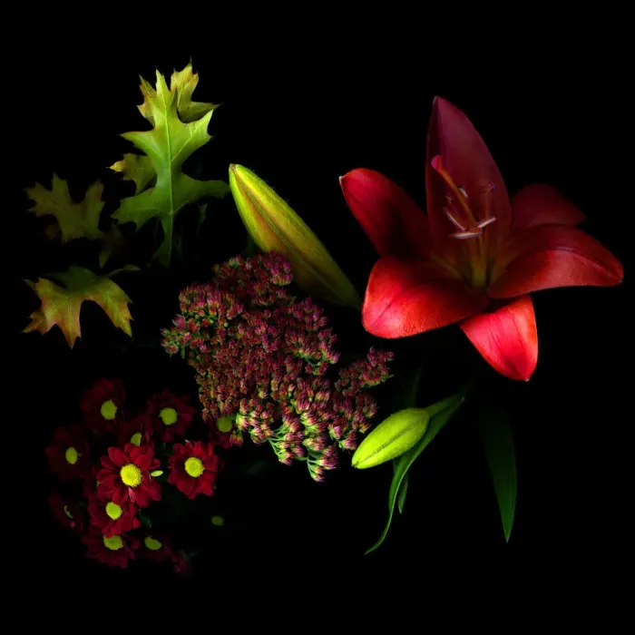 Framed Print : Autumnal Flower Bouquet Framed Print : Autumnal Flower Bouquet